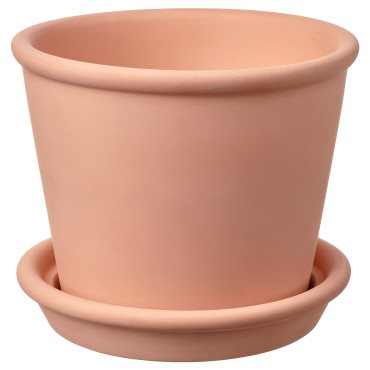 MUSKOTBLOMMA, саксия с чинийка, 12 см, 004.548.83