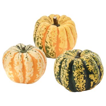 CUCURBITA, декорация, тиква, 106.293.35