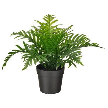 FEJKA, изкуствено саксийно растение - Полиподиум, 504.933.49