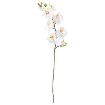SMYCKA, изкуствено цвете, Орхидея, 803.335.85