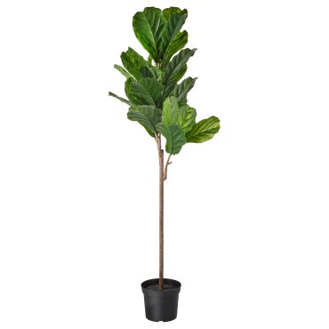 FEJKA, изкуствено саксийно растение, фикус, за употреба на закрито/открито, 203.594.27