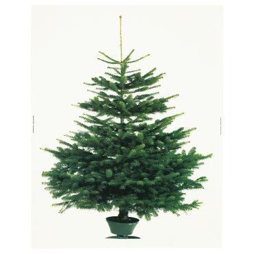 VINTER 2020, плат, 150x220 см, 404.759.73