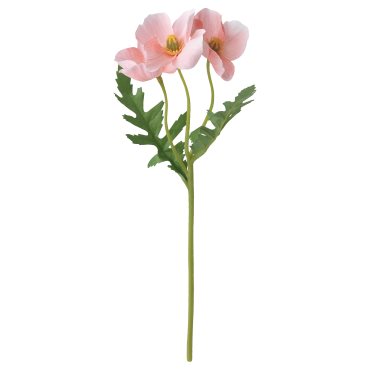 SMYCKA, изк. цвете, уп. на закрито/открито, Мак, 305.601.51