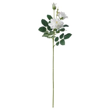 SMYCKA, изк. цвете, за употреба на закрито/открито, Роза, 905.601.48