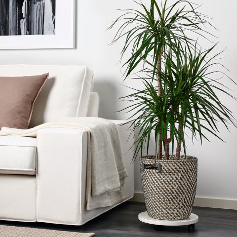 RAGKORN, кашпа, за употреба на закрито, 004.075.56 - IKEA България RAGKORN, кашпа, за употреба на закрито, 004.075.56