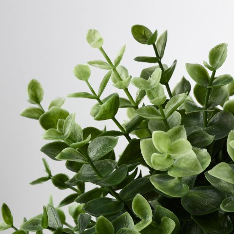 FEJKA, изкуствено саксийно растение, риган, 103.751.59 - IKEA България FEJKA, изкуствено саксийно растение, риган, 103.751.59