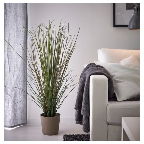 FEJKA, изкуствено саксийно растение, трева, 701.866.60 - IKEA България FEJKA, изкуствено саксийно растение, трева, 701.866.60