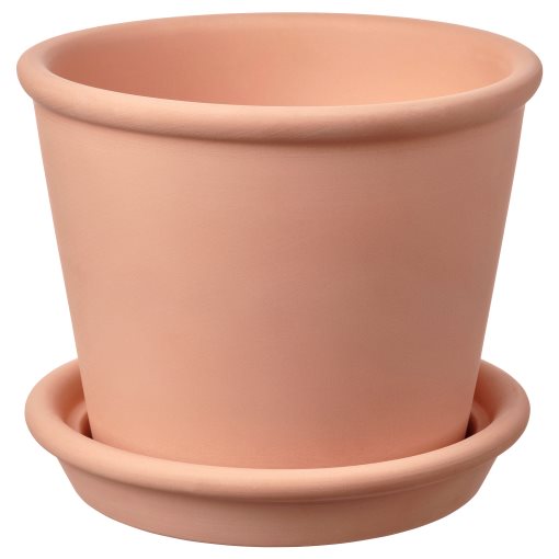 MUSKOTBLOMMA, саксия с чинийка, 12 см, 004.548.83