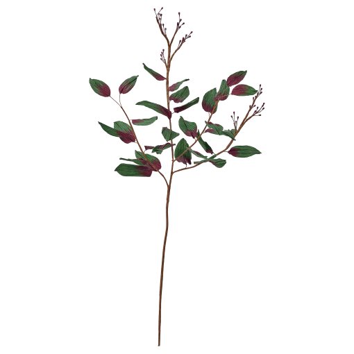 GULDSPETT, изкуствено цвете, евкалипт, 50 см, 306.303.33