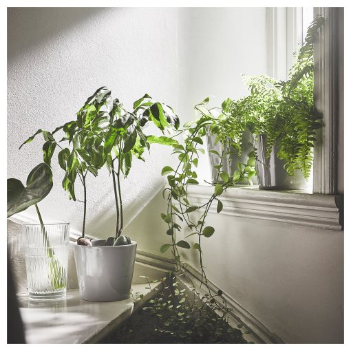 SMÄLLSPIREA, ваза, 905.421.78