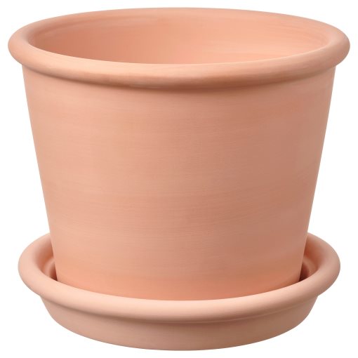 MUSKOTBLOMMA, саксия с чинийка, 15 см, 304.548.91