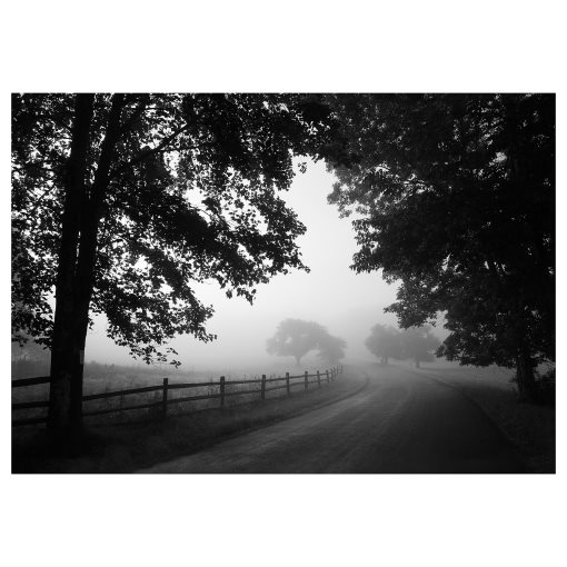 BJÖRKSTA, картина "Мъглив селски път", 200x140 см, 305.004.83