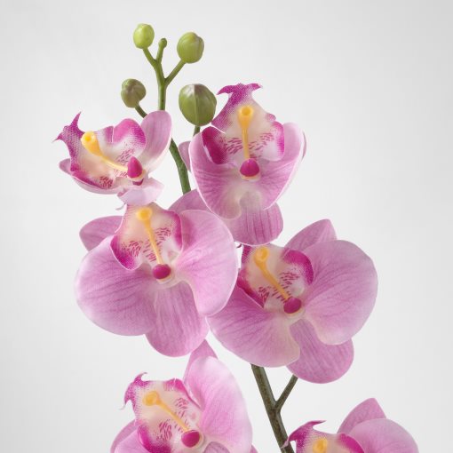 SMYCKA, изкуствено цвете, Орхидея, 603.357.88