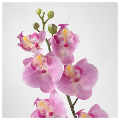 SMYCKA, изкуствено цвете, Орхидея, 603.357.88