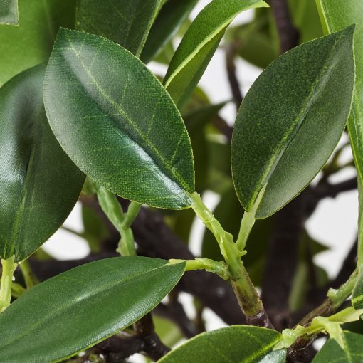 FEJKA, изкуствено саксийно растение, за употреба на закрито/открито, Плачеща смокиня стъбло, 003.953.08