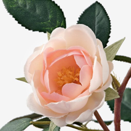 FEJKA, изкуствено саксийно растение, Роза, за употреба на закрито/открито, 003.953.13