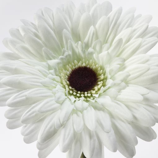 SMYCKA, изкуствено цвете, Гербера, 204.097.95