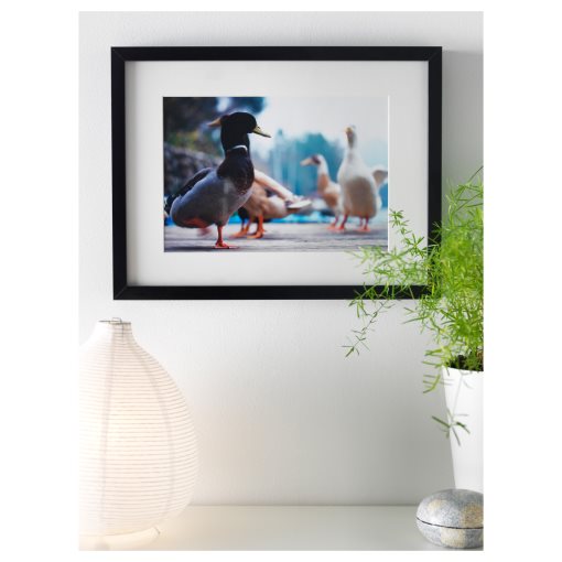 RIBBA, рамка, 30x40 см, 303.784.54 - IKEA България RIBBA, рамка, 30x40 см, 303.784.54