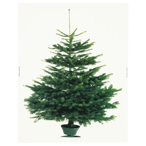 VINTER 2020, плат, 150x220 см, 404.759.73