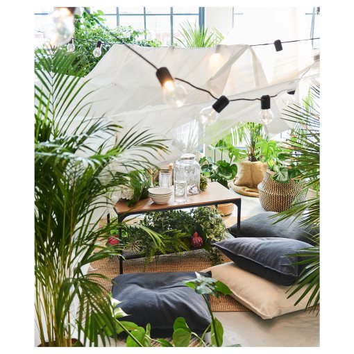 LUTESCENS, саксийно растение 24 см, Палма Areca, 468.040.05