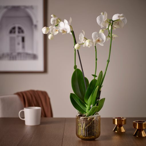 GRADVIS, кашпа, 9 см, 006.232.92