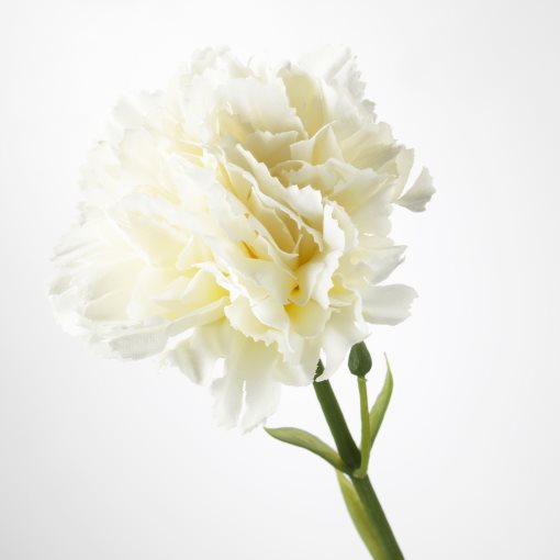 SMYCKA, изкуствено цвете, Карамфил, 203.335.88