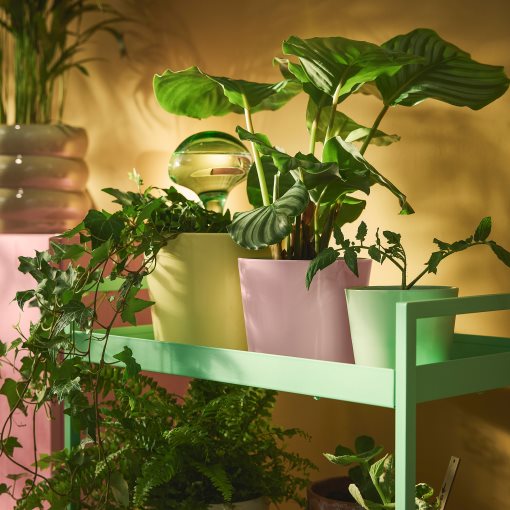 SOJABÖNA, кашпа, 15 см, 206.119.43