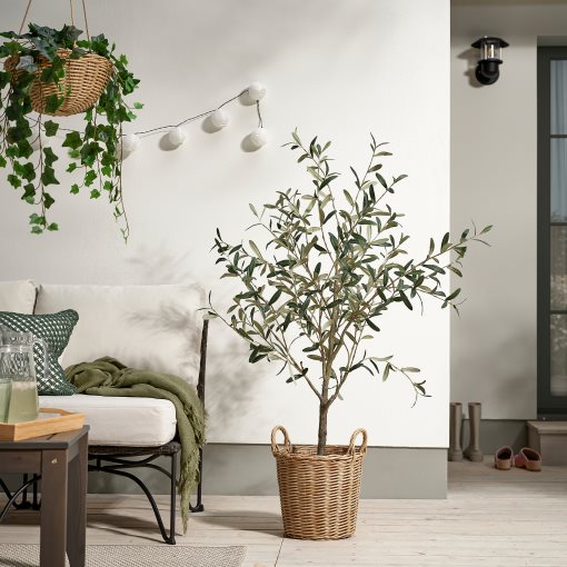 FLODBJÖRK, кашпа, 24 см, 206.120.61