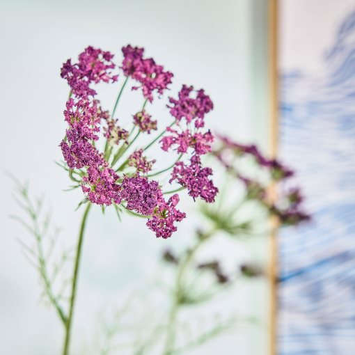 SMYCKA, изкуствено цвете, Див морков, 306.060.69