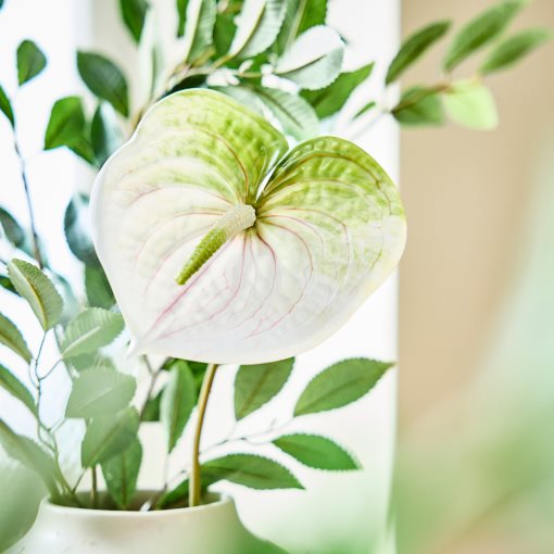 SMYCKA, изкуствено цвете, Антуриум, 306.060.88