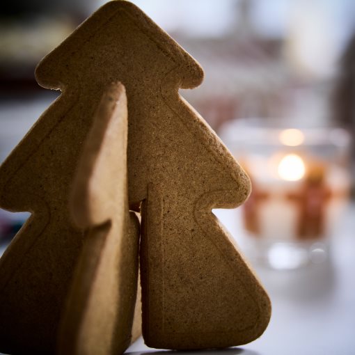 VINTERSAGA, Джинджифилови елхички, 306.124.14