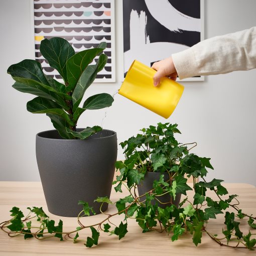 CHILIFRUKT, ваза/лейка, 405.451.36