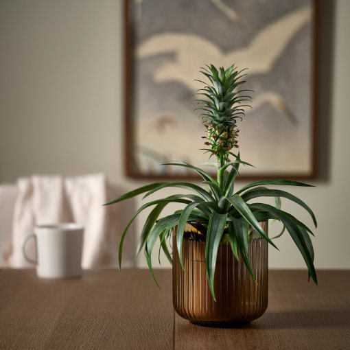 GRADVIS, кашпа, 12 см, 406.232.90