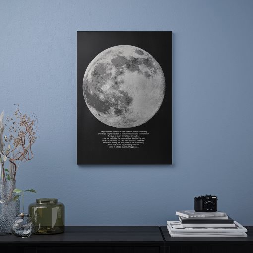 PJÄTTERYD, картина, "Лунна светлина", 50х70 см, 505.545.02