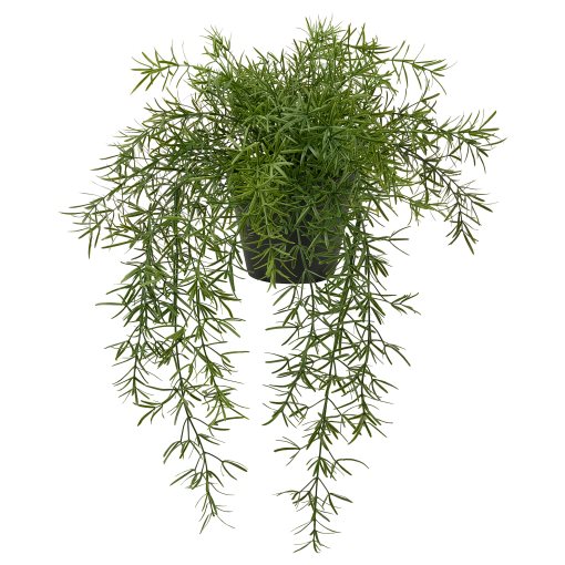 FEJKA, изкуствено саксийно растение, Аспарагус, 505.932.40