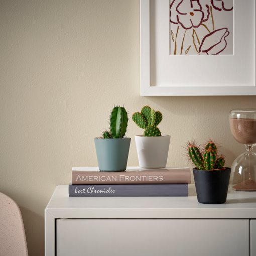 CACTACEAE, саксийно растение+саксия, Кактус, 3 бр/к-т, 704.020.32