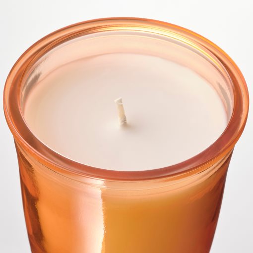 ASPSKOG, ароматна свещ в стъклена чашка, Десертна подправка "Тиквен пай", 20 ч, 705.272.06