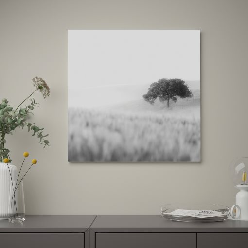 PJÄTTERYD, картина, "Самотно дърво", 56х56 см, 805.545.05