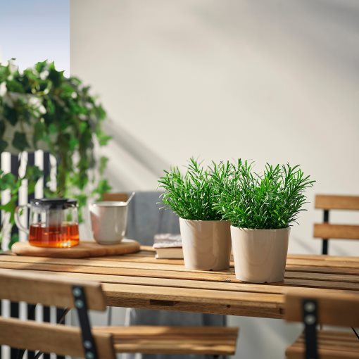 FEJKA, изкуствено саксийно растение, Розмарин, 9 см, 806.107.47