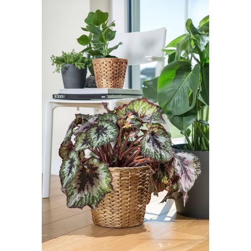 FRIDFULL, кашпа, 19 см, 906.282.85