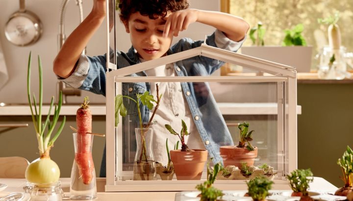 Градинарството – вълнуващо хоби за твоето дете