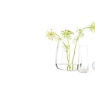 ikea-ikea-ber%C3%A4kna-glass-vases-and-bowl__1364464015190-s1