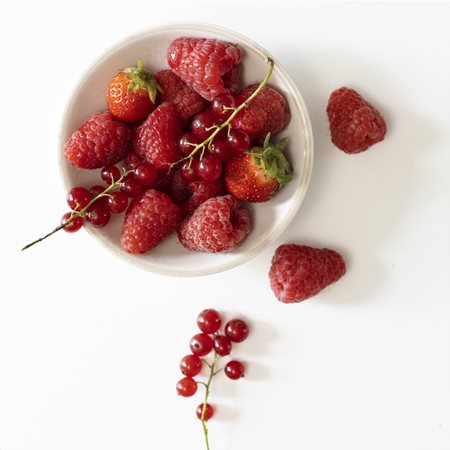 Горски плодове