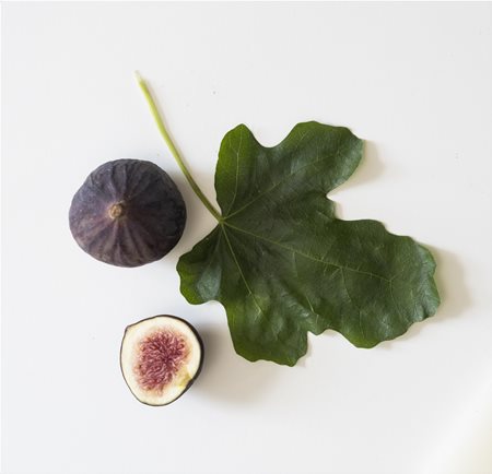 Смокинови листа