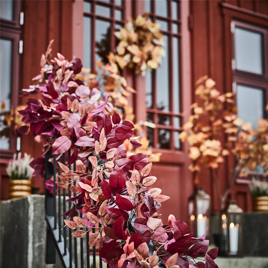 inspirational image
