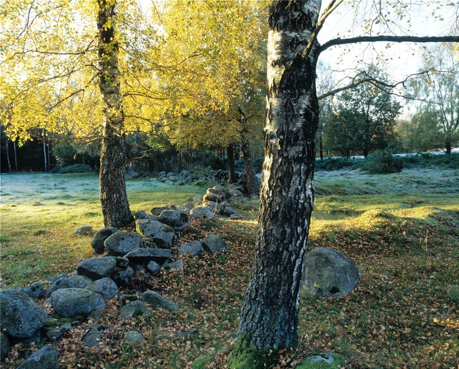 Твоят ден. Твоят ритъм.