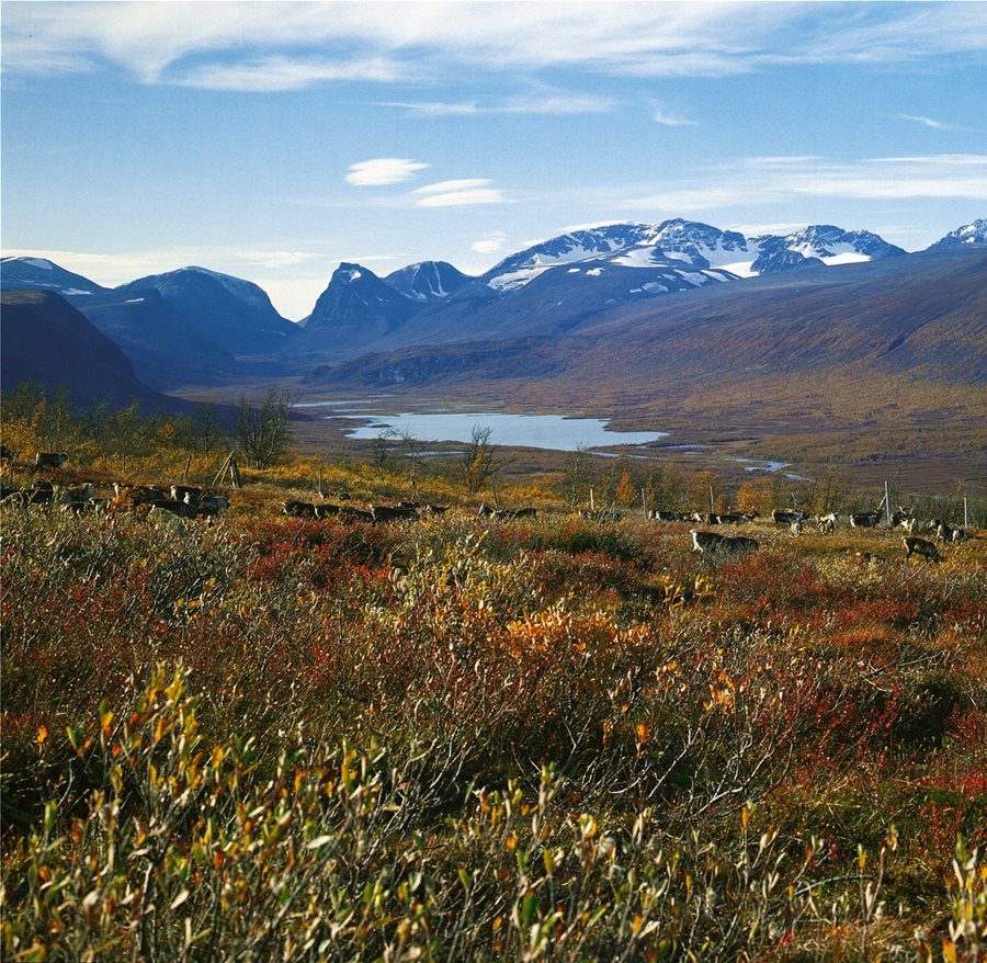Нашите предложения за сезона